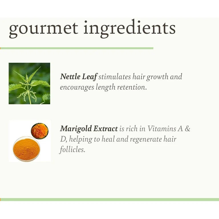 Camille Rose Herbal Tea Seal and Softening Leave-In Conditioner, 9 Oz