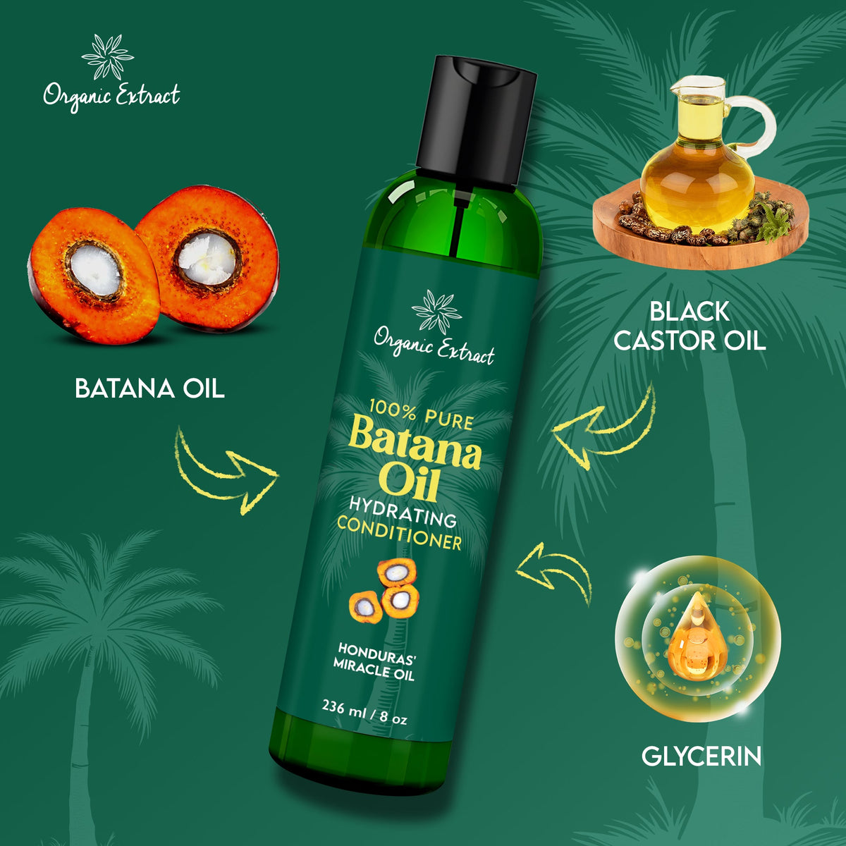 Organic Extract Batana Oil Hair Conditioner 8 oz/ 236ml - Mitchell Brands