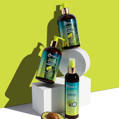 Mielle Avocado & Tamanu Anti-Frizz Shampoo