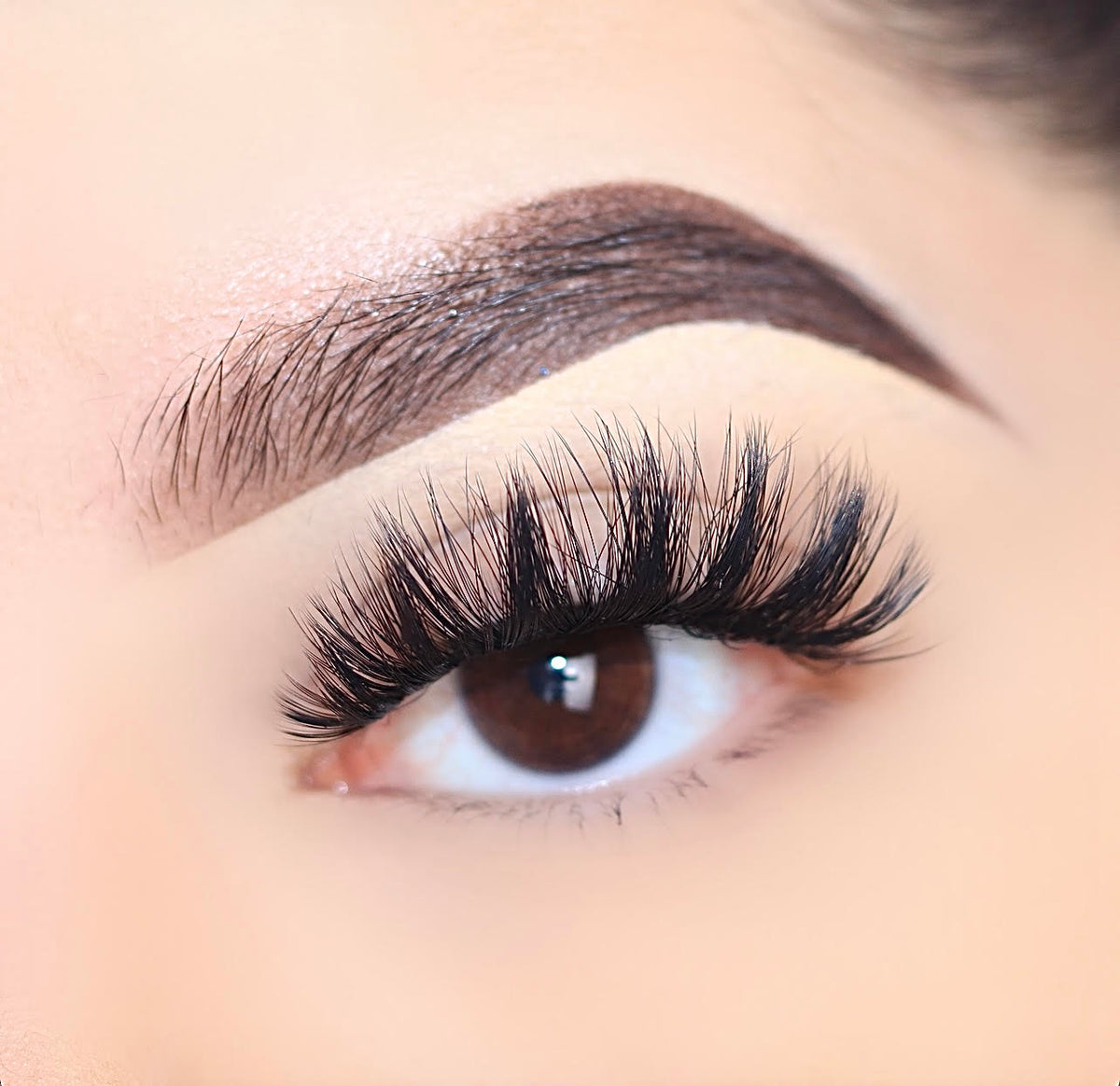 Color Teeze Lashes: Lady Blue 67001 Poshmellow