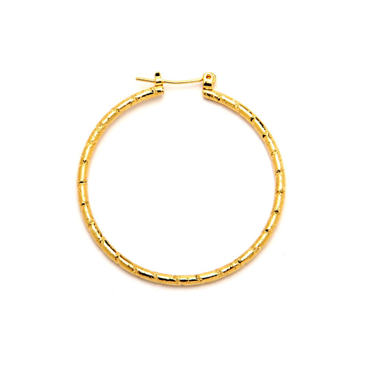 Joy Jewelry A16 gold-tone pin-catch hoop earrings