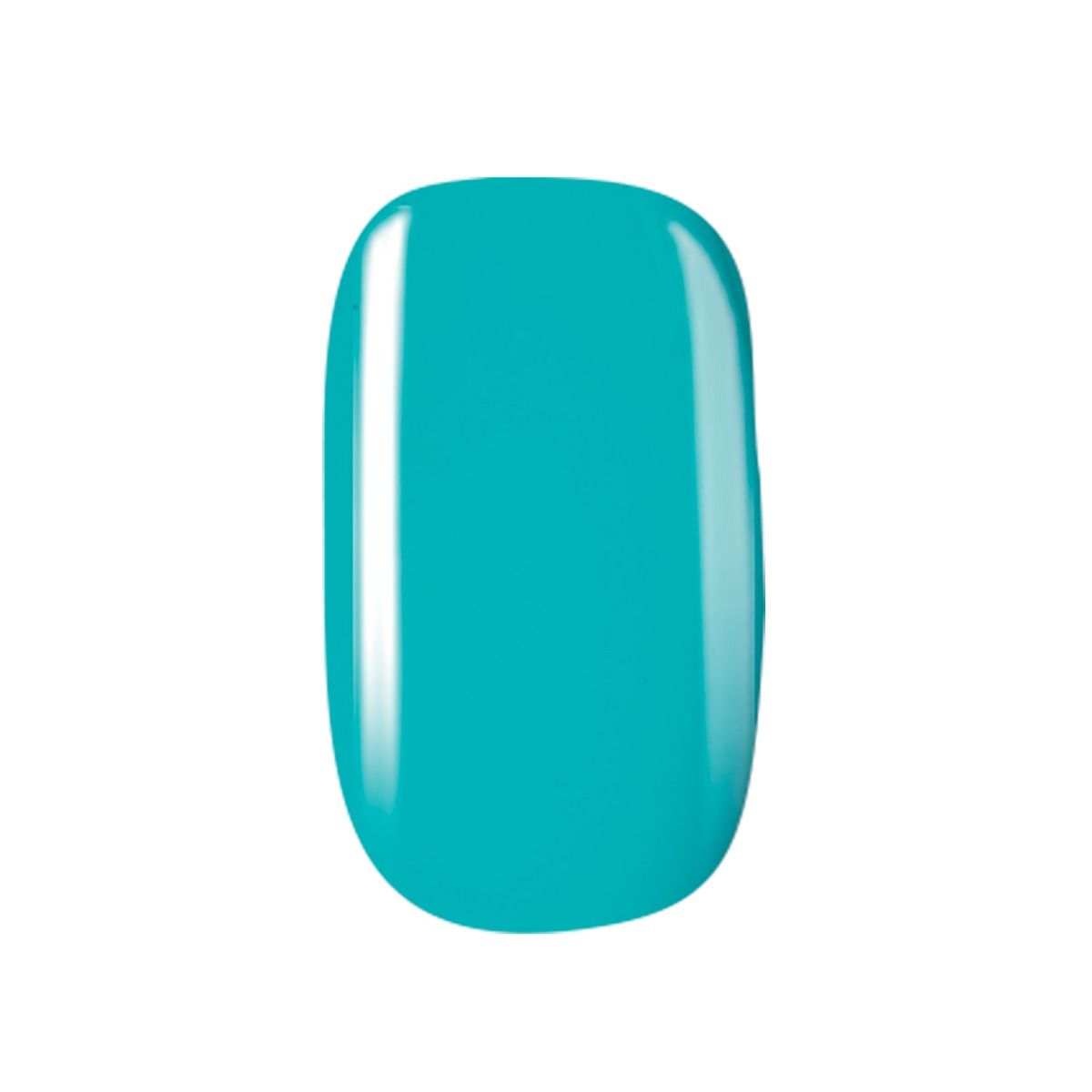 KISS - RK NAIL POLISH (60 Colors Available) KISS